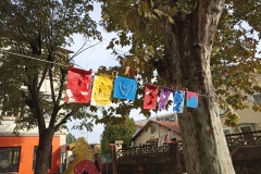 IMG_20221020_110355
